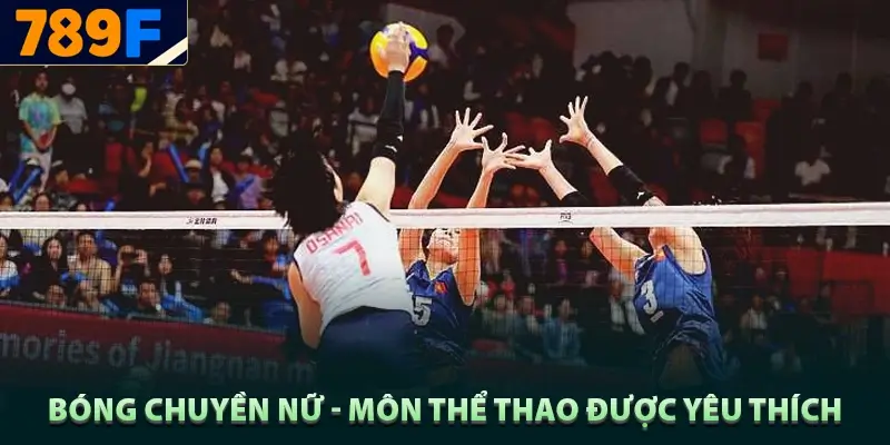 Bảng xếp hạng Ngoại hạng Anh – Hành trình mùa giải 2024/25 1 Bóng chuyền nữ - môn thể thao được yêu thích nhất hiện nay