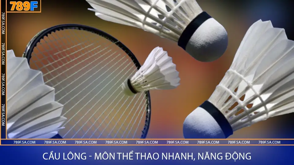Bảng xếp hạng Ngoại hạng Anh – Hành trình mùa giải 2024/25 1 Cầu lông - môn thể thao nhanh, năng động