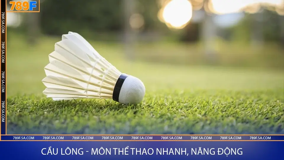 Bảng xếp hạng Ngoại hạng Anh – Hành trình mùa giải 2024/25 3 Luyện tập cầu lông đúng cách giúp bạn nâng cao kỹ năng