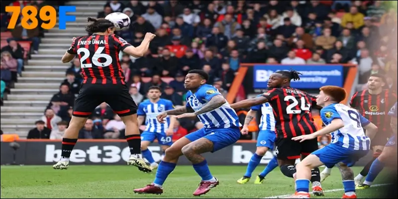 Bảng xếp hạng Ngoại hạng Anh – Hành trình mùa giải 2024/25 3 Dự đoán trận AFC Bournemouth vs Brighton & Hove Albion 13/09/2025